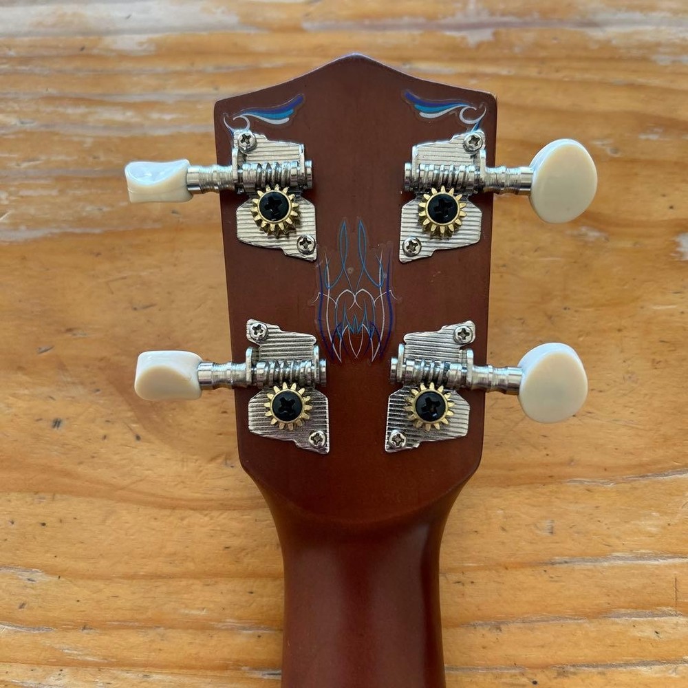 Price reduction! Ukulele with new case