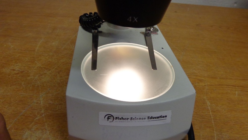 Fisher Science Education Microscope S90013A