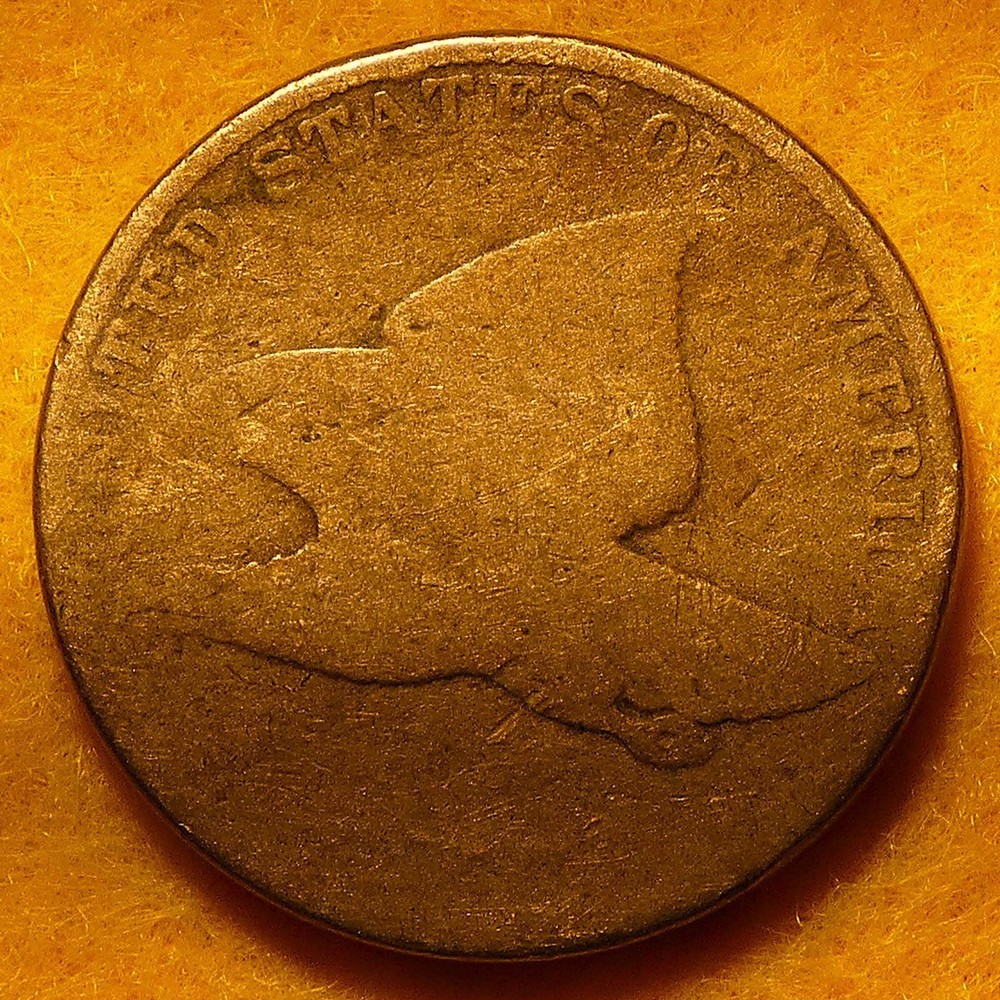 1857 Flying Eagle Cent. Great type coin!