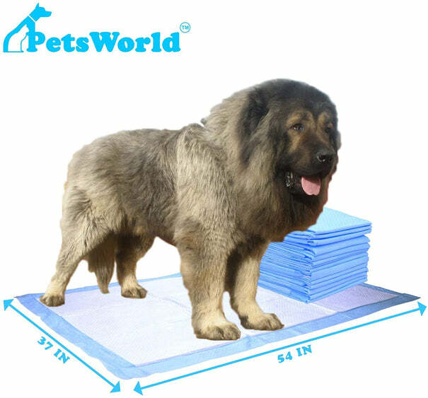 PETSWORLD Enormous Dog Training/Potty Pads (37x54 inch)