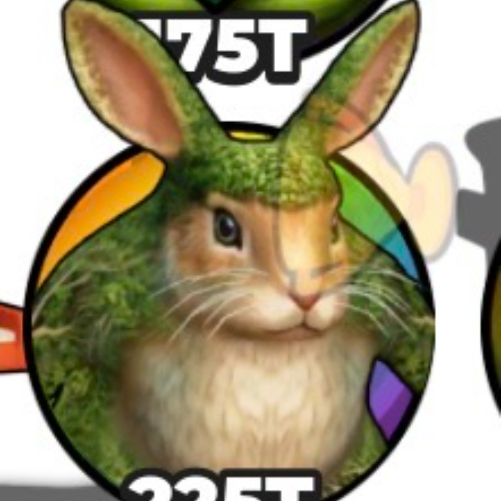 Brainrot Evolution | Drr Drr Rababum Brainrot 🔥🔥🔥New