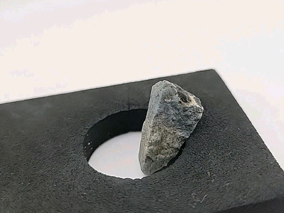 Fossil Dinosaur Tooth Permineralized Unknown Species