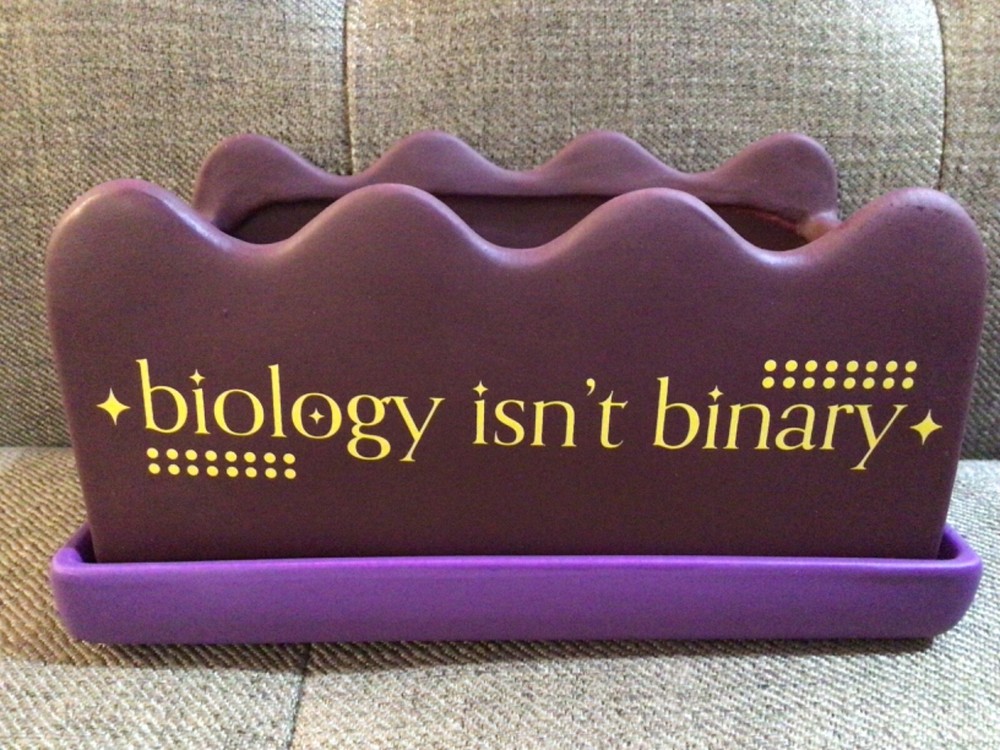 Target Pride Collection Biology Isn't Binary Purple Ceramic Pot Planter NEW