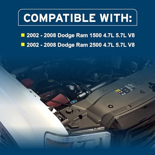 Cold Air Intake System with Heat Shield Kit Filter 2002-2008 Ram 1500