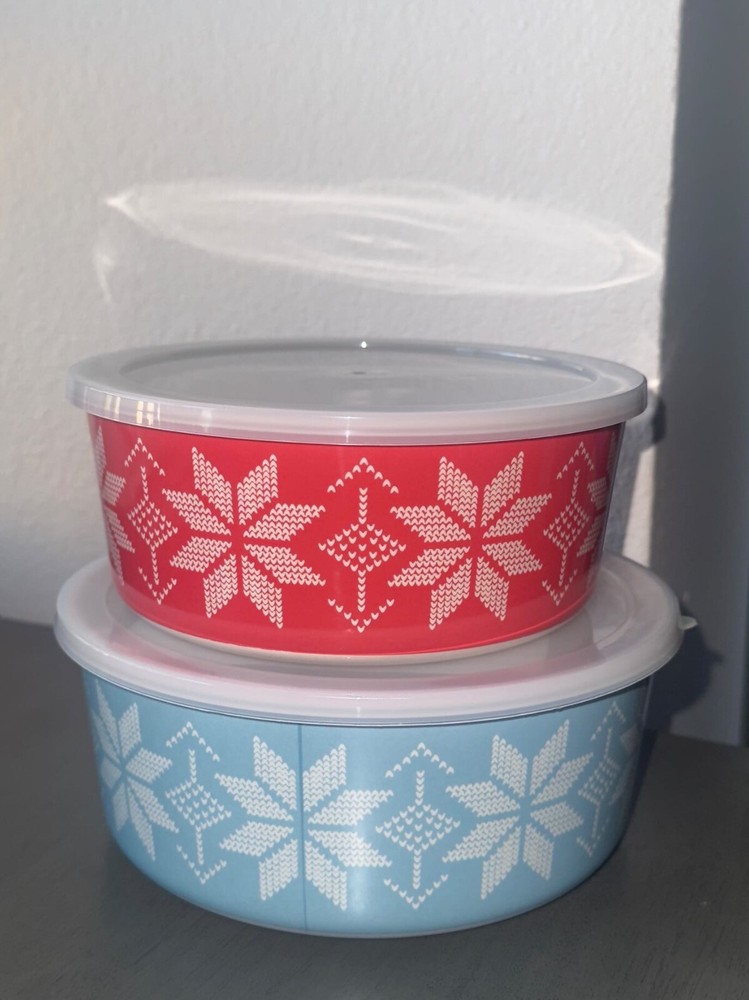 The Cellar 2-Pc. Nesting Food Containers & Lids Set