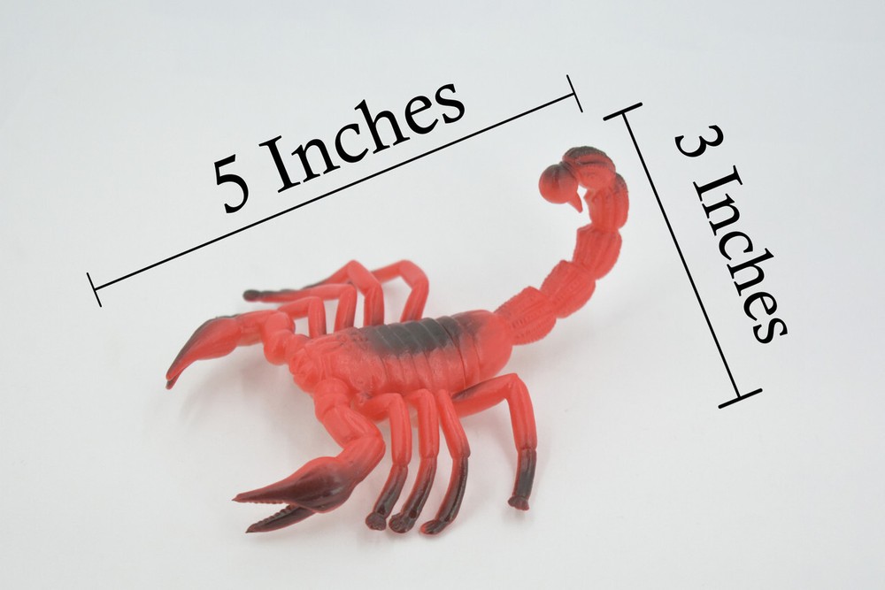 Scorpion, Red Black Big Solid Rubber Bug, Toy, Realistic Figure 5" ABC14 B263