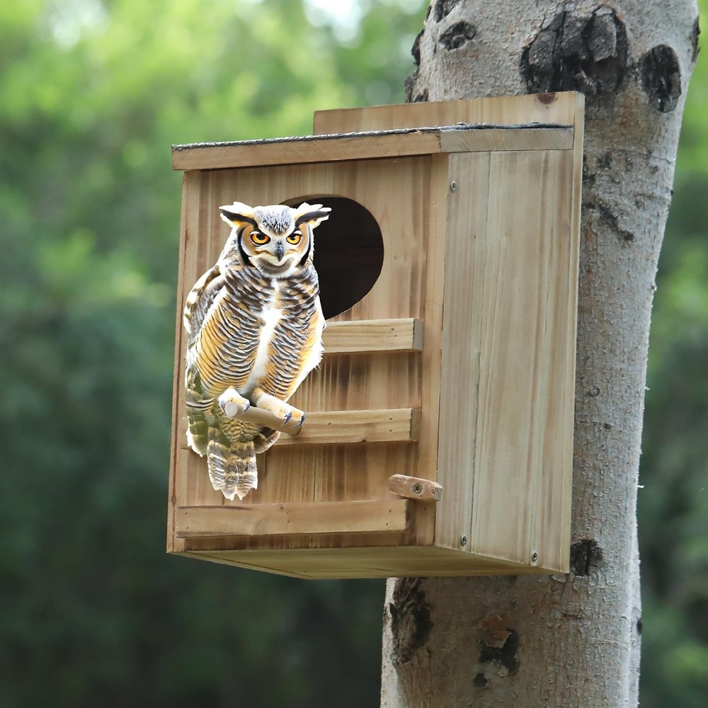 Screech Owl House Large Cedar Weatherproof Prebuilt Box Outside Nesting Mount