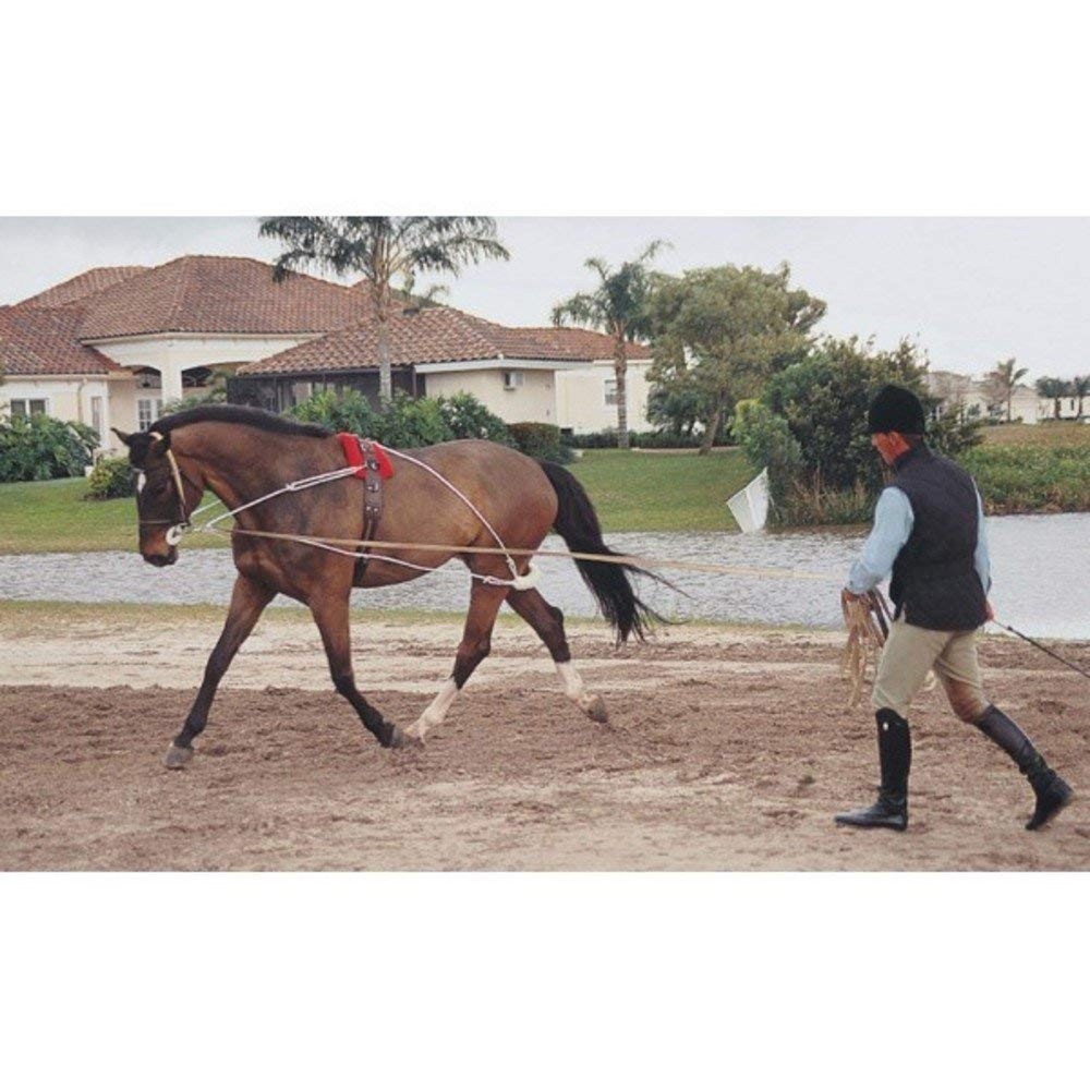Pessoa Lunging System Horse