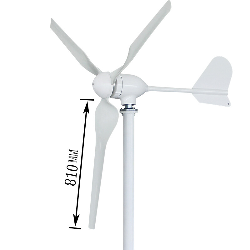 1000W 12V 24V Wind Turbine Horizontal Wind Power Generator With MPPT Controller