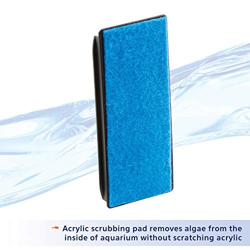 Aquarium Algae Cleaning Magnets Small