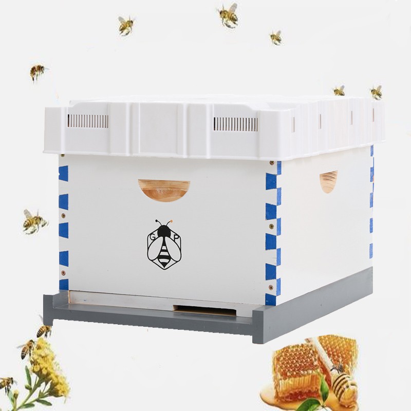 Langstroth Beehive Kit 10 Frame Box brood House +10 Deep Frames Comb Beekeeping