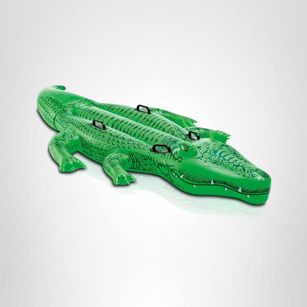 INTEX Inflatable Pool Float: Pool Toy for Kids