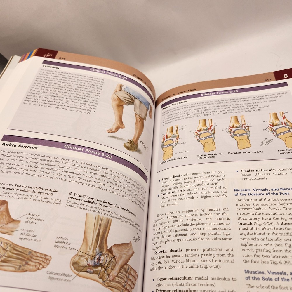 Netter's Clinical Anatomy 3rd Edition with Online Access Basic Science Book