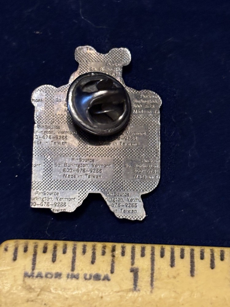 PIG Pinback...vintage