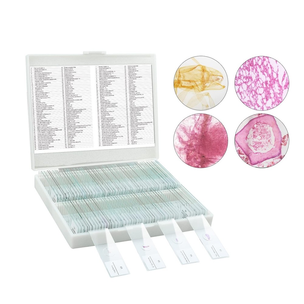 Microscope Slides, 100 Pcs Prepared Microscope Slides with Specimens for Kids...