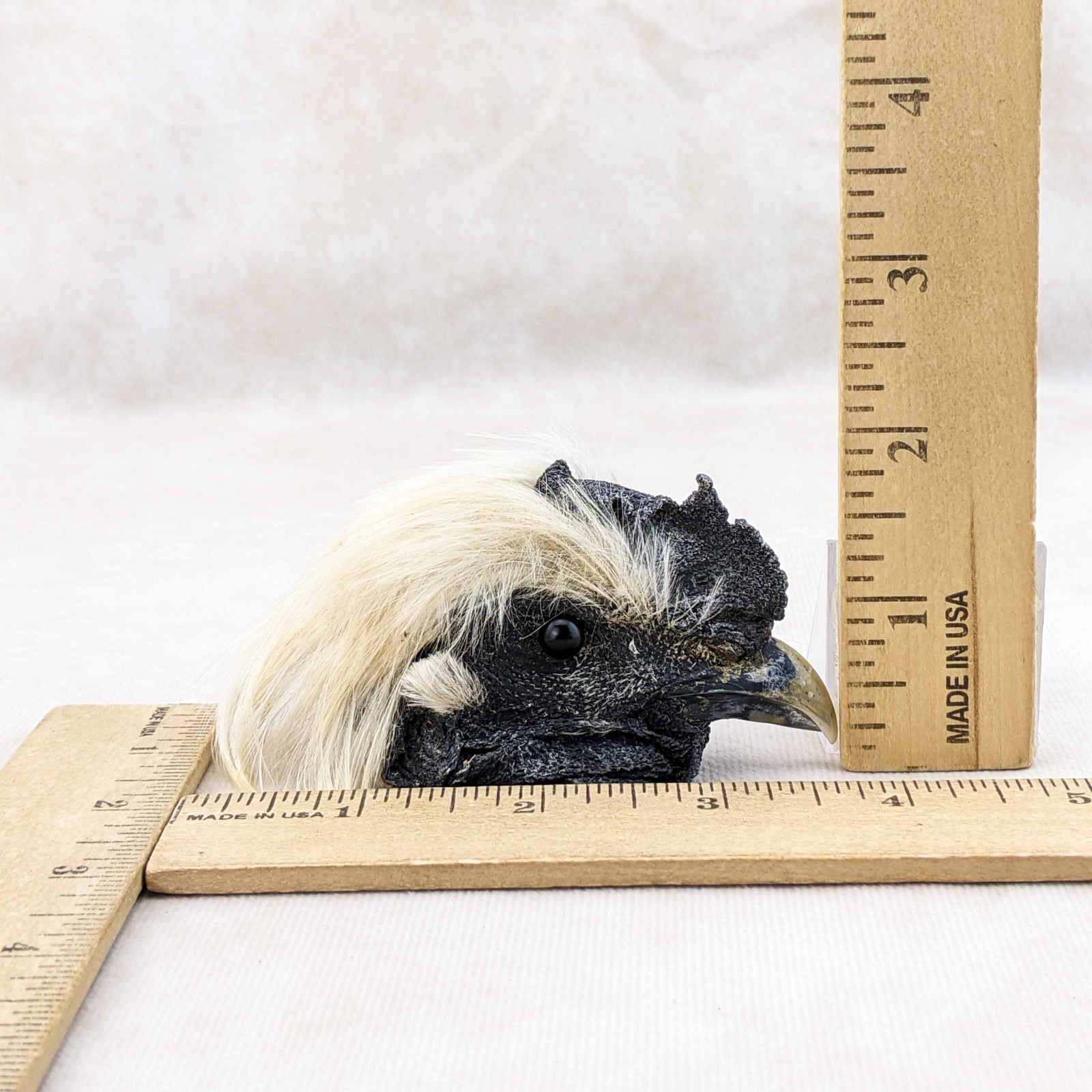 Chicken Rooster head Mount LG specimen crafts crafting Oddity Curiosity specim