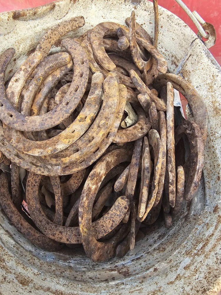 Rustic Horseshoes