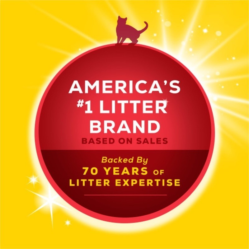 Low Dust Clumping Cat Litter Deodorizing Odor Control Multi Cat 10 Day Freshness