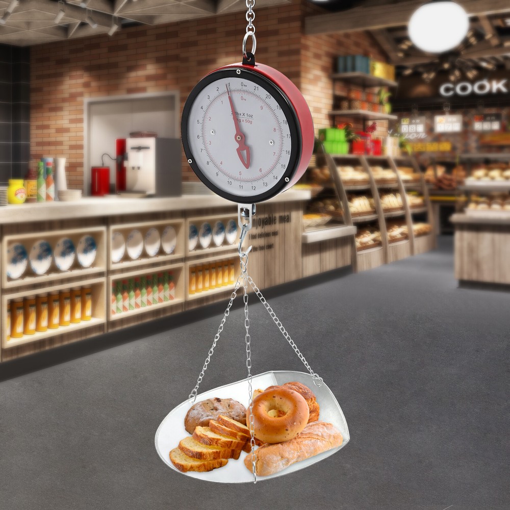 Double-Sided Dial Mechanical Hanging Scale with Scoop/Chain for Kitchen 22LBS