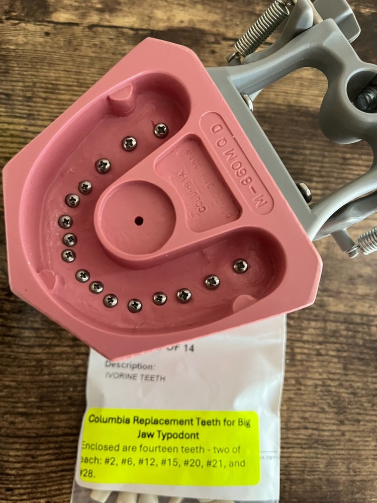 Columbia Dentoform Dental Typodont Model Removable Teeth + Extra