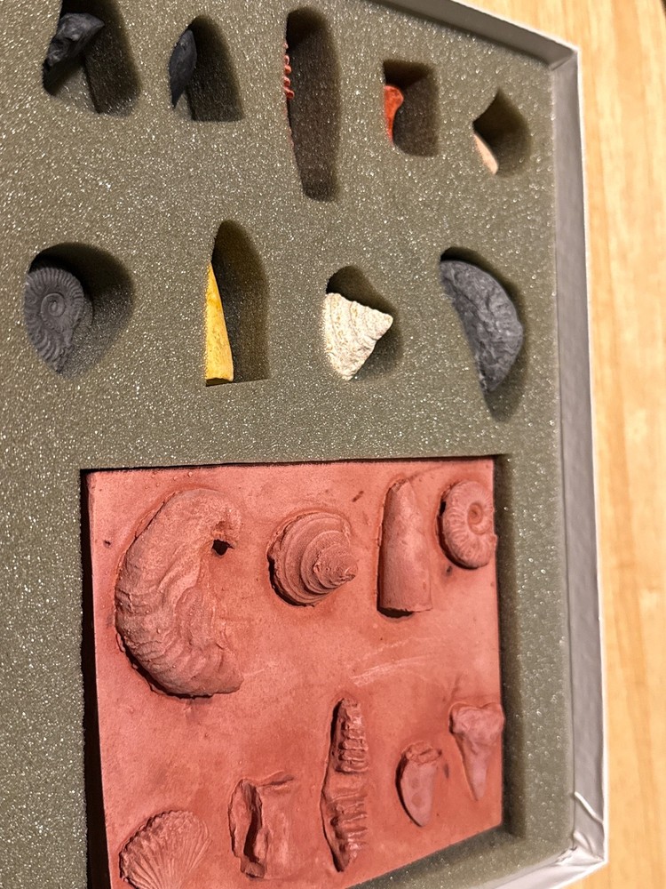 fossil kit science kit inc