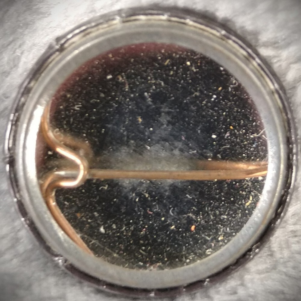 Axis Of Justice Pin Button Pinback Social Justice Serj Tankian Tom Morello Rare