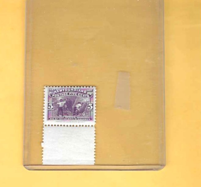 NEWFOUNDLAND 65 1897 5c VIOLET MINING MARGIN SINGLE VF NH