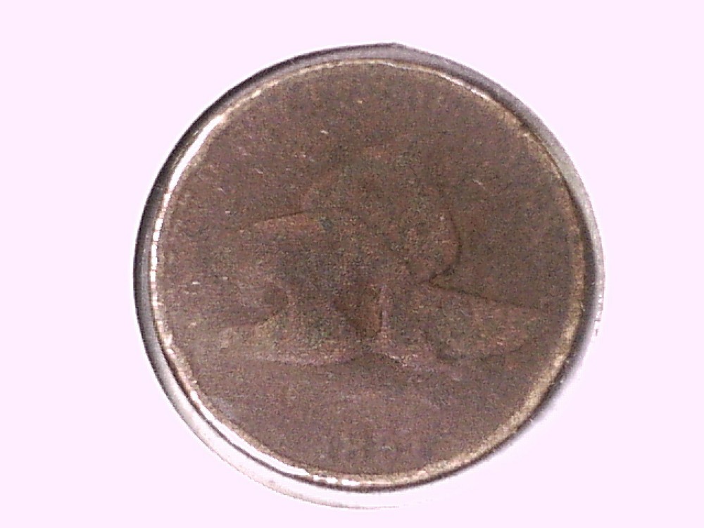 1857 Flying Eagle Cent Genuine Raw Ungraded 00526