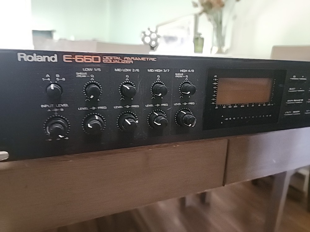 Roland E-660 Digital Stereo Parametric Mastering EQ