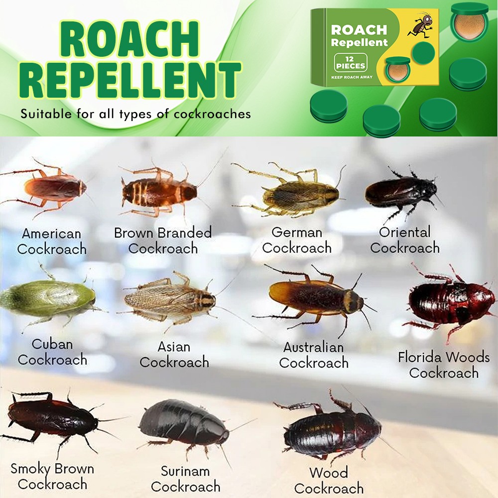36 Pack Cockroach Gel Bait Powerful Roach Gel Bait Indoor Infestation Solution