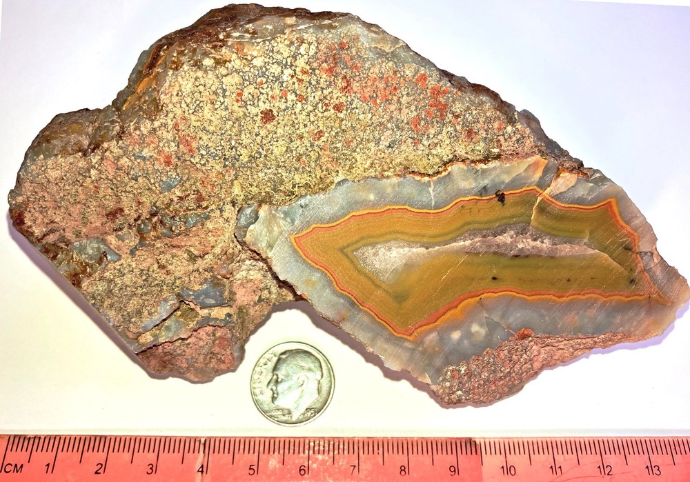FORTIFICATION AGATE CABBING ROUGH, 1 POUND