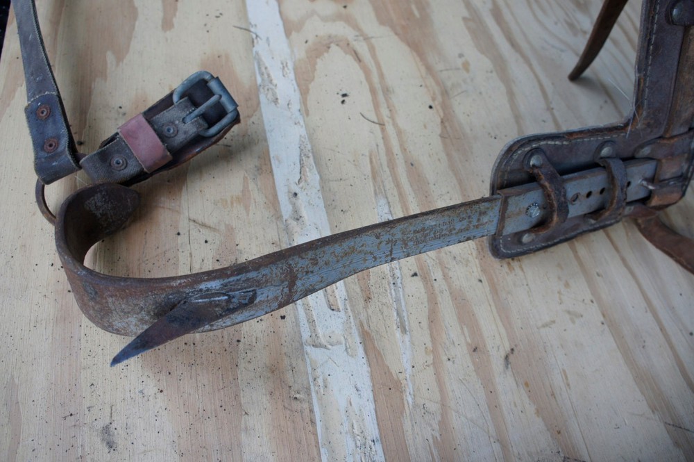 Buckingham Tree and Pole Climbing Spikes Gaff Spurs Arborist