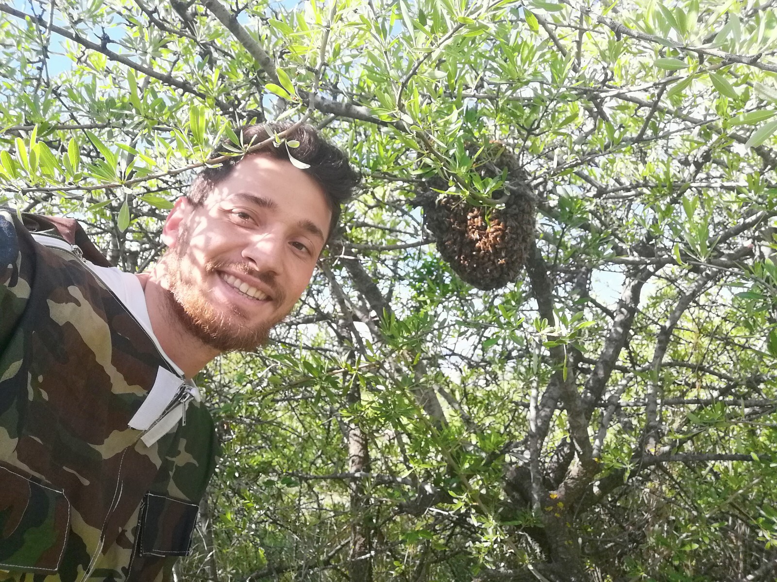 Bee Venom Collector Machine, Raw bee venom collector, Bee venom machine set 2