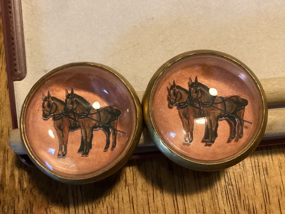 Horse Bridle Rosettes