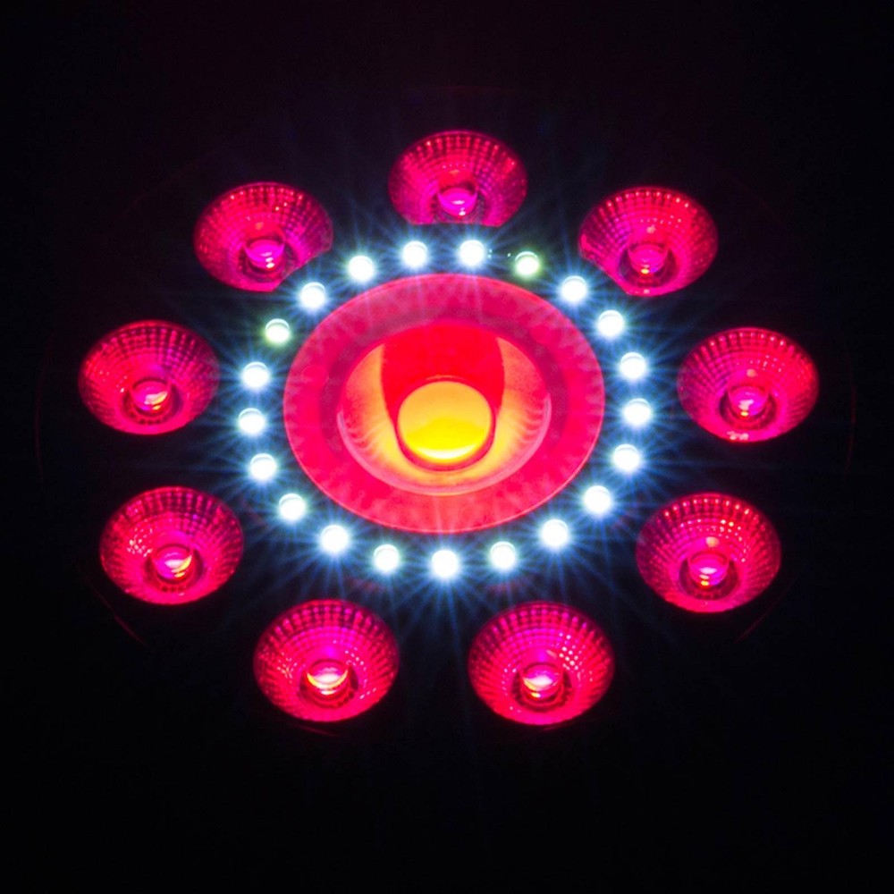 Chauvet DJ FXpar 9 Compact Multi Effect Par Light (2-pack) with Case & DMX Cable