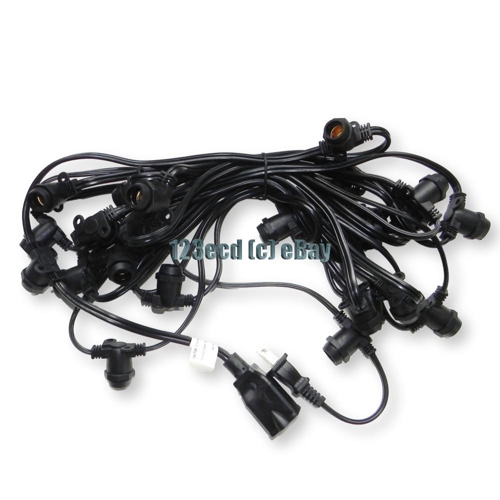 Globe String Lights 25ft (strand only)  Black molded socket