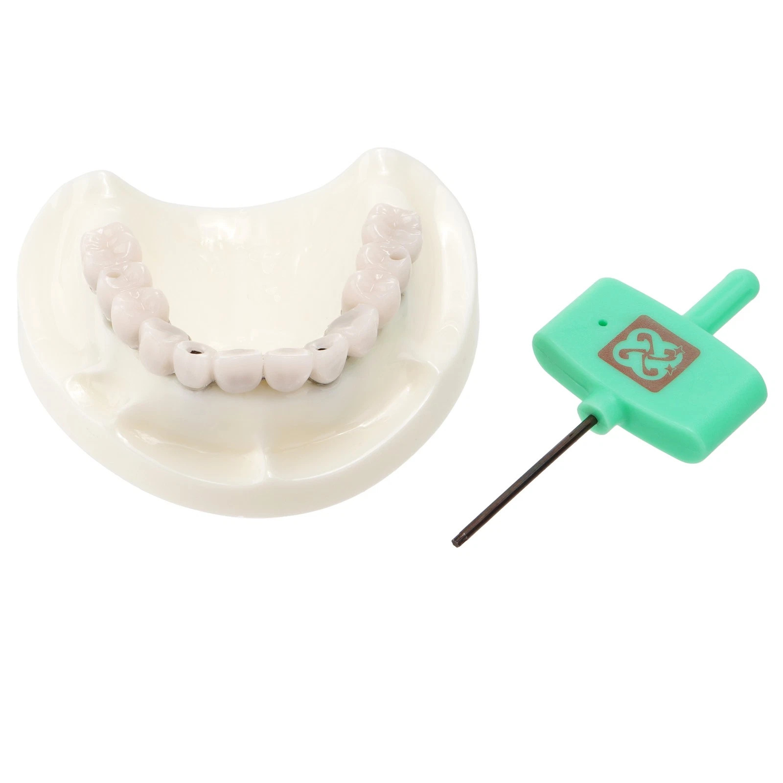 Dental All-on-4 Overdenture Model Dental Upper Jaw Implants Restoration 4 Screws