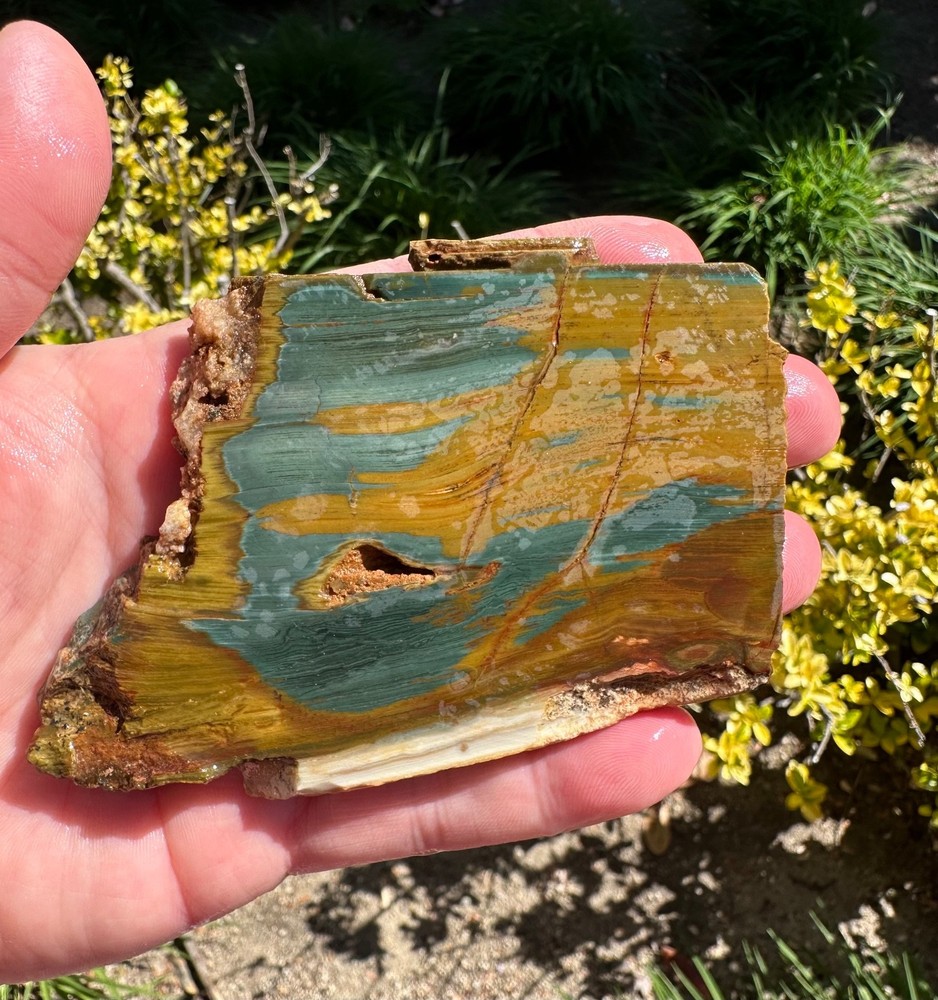 Big Gary Green Larsonite Slab, 2.5x4", Cabbing/Lapidary