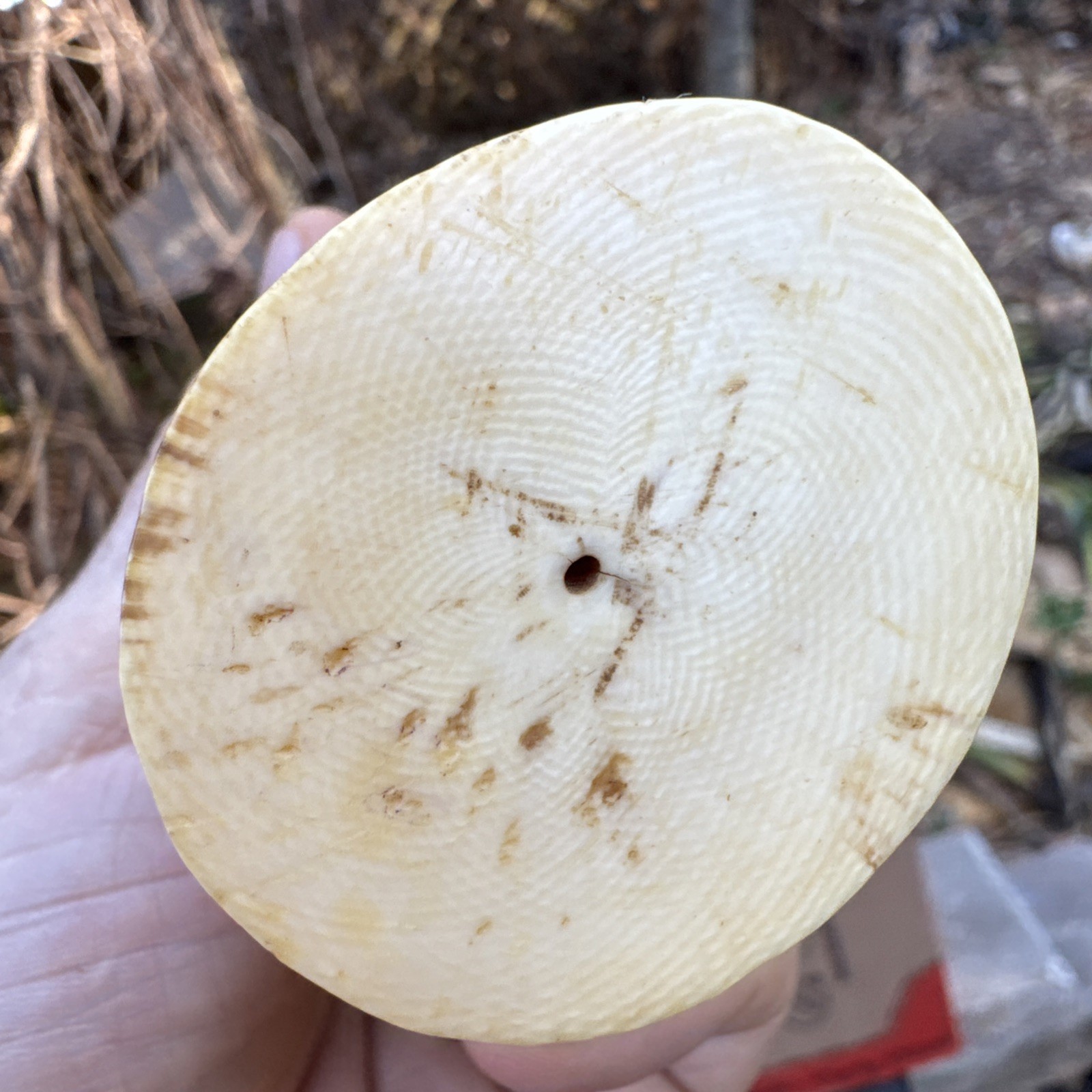 African Sculpture.130 Years Old 6.6 Inches Tall