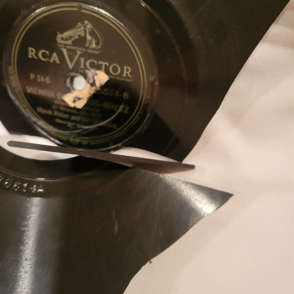 Old Broken Victrola Record Pieces