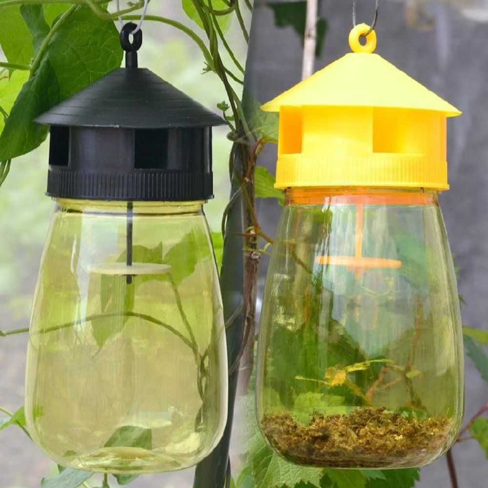 Fruit Fly Trap Killer Reusable Plastic Drosophila Trap Fruit Fly Trap Catcher