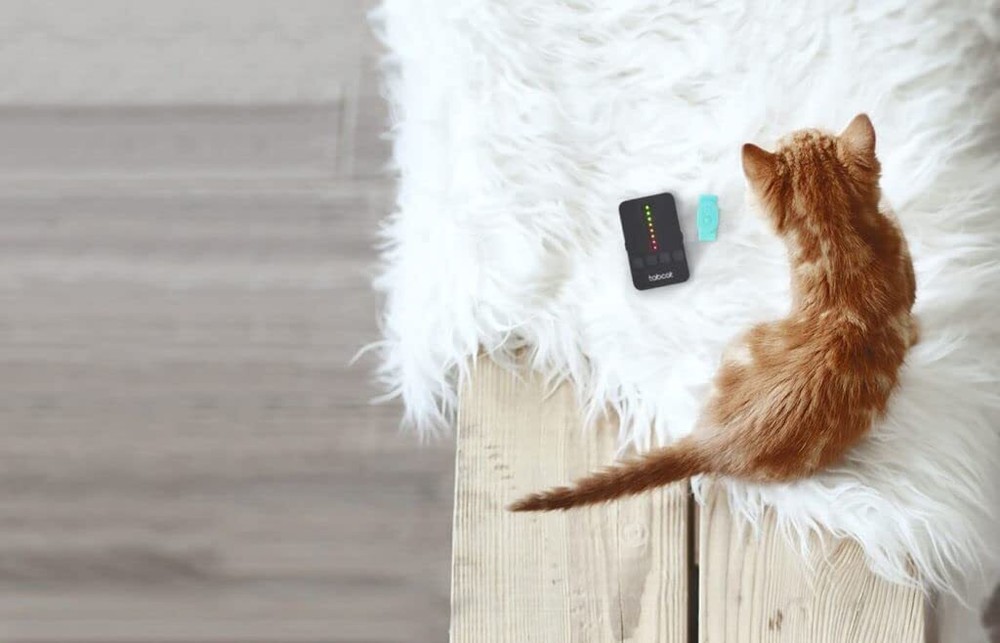 Tabcat v2 Pet Cat/Kitten Tracker – New Longer Range & Smaller Tags