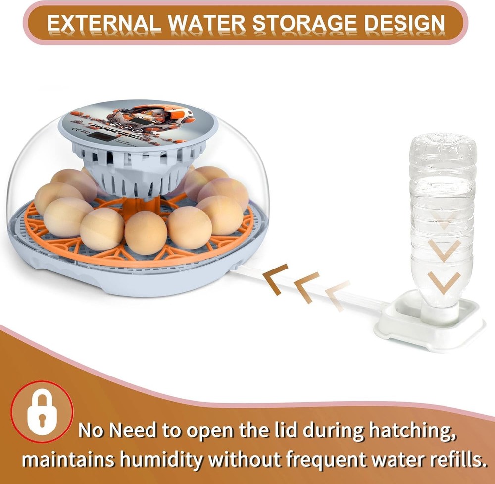 Automatic 12 Egg Incubator with Temperature Control - Ideal for Poultry Hatching