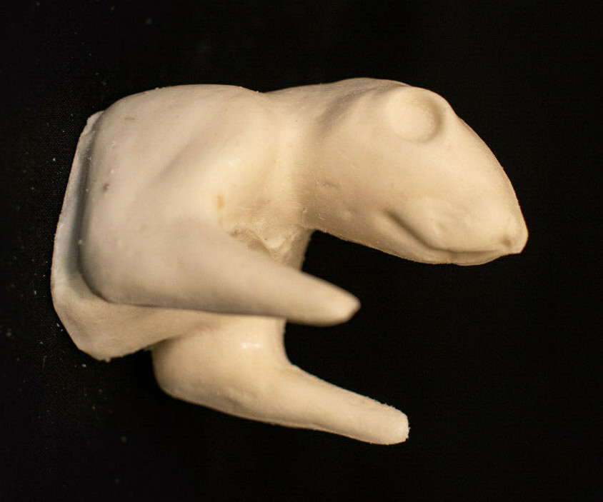 Taxidermy Form Half Grey Squirrel Medium Shoulder