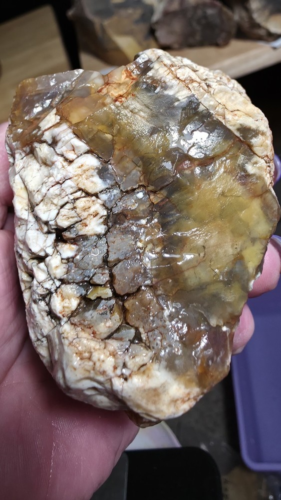 agatized petrified wood 3pc. Lot