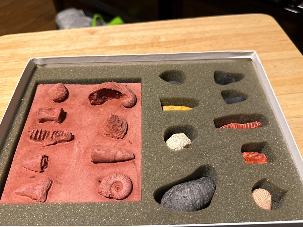 fossil kit science kit inc