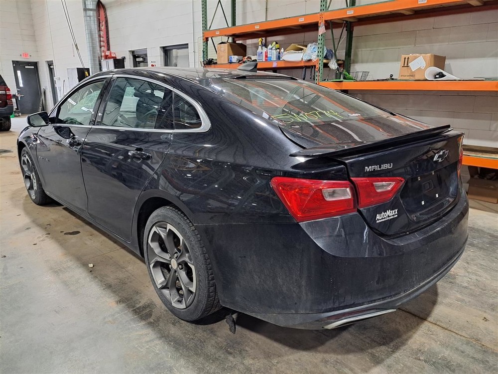 2019 Malibu Jack Sku#4275468