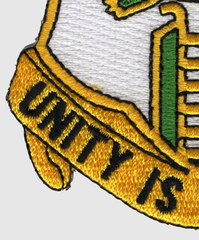 6th Infantry Regiment Patch Unity Is Strength