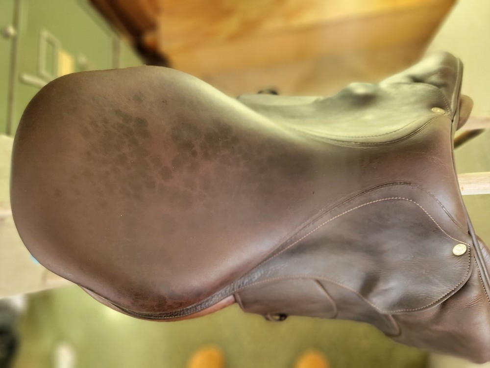 Voltaire Palm Beach 2012 Model 17" FIN Panels Regular Tree Jump Saddle
