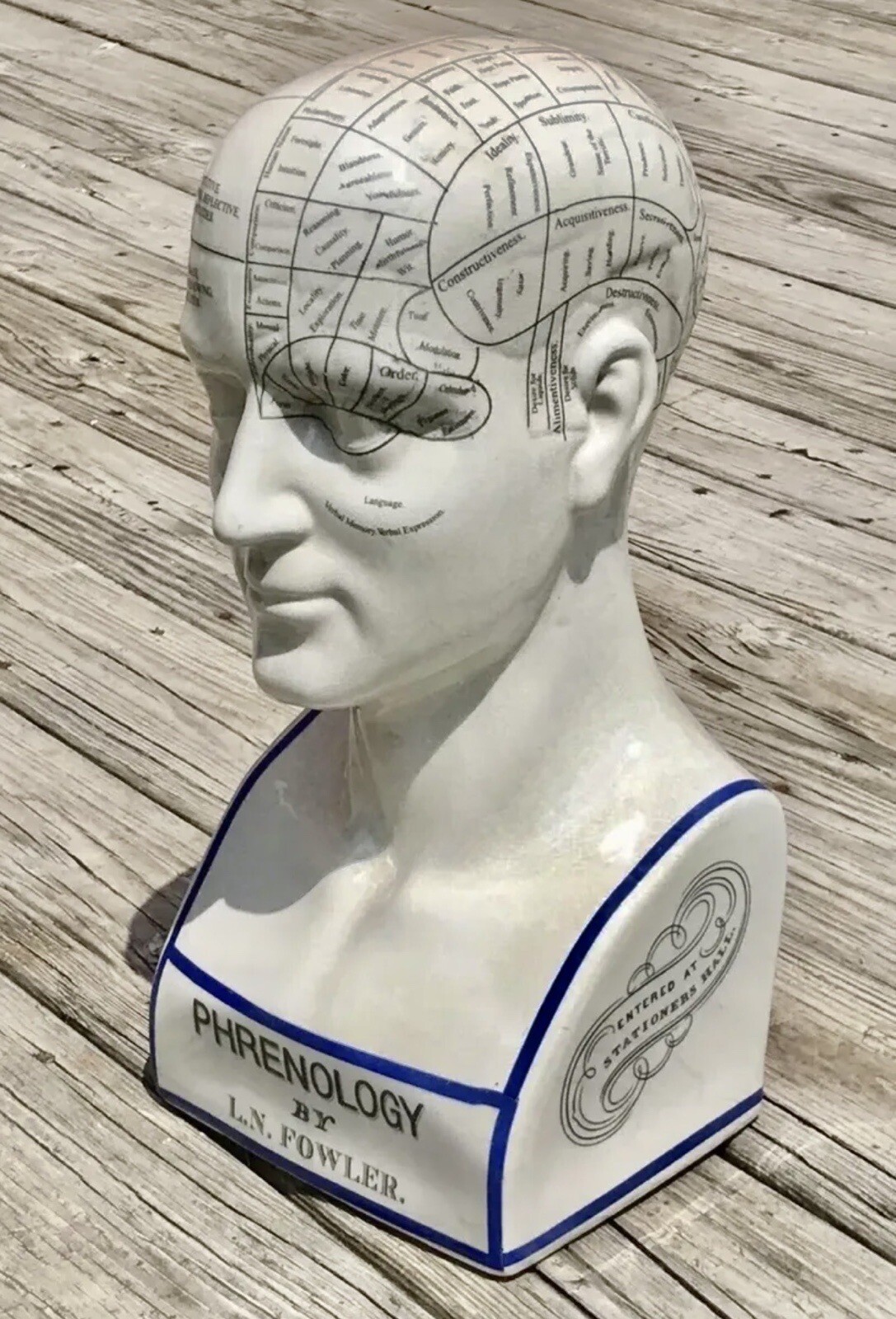 Porcelain L.N. Fowler Phrenology Scientific Psychology 17” Large Bust Head